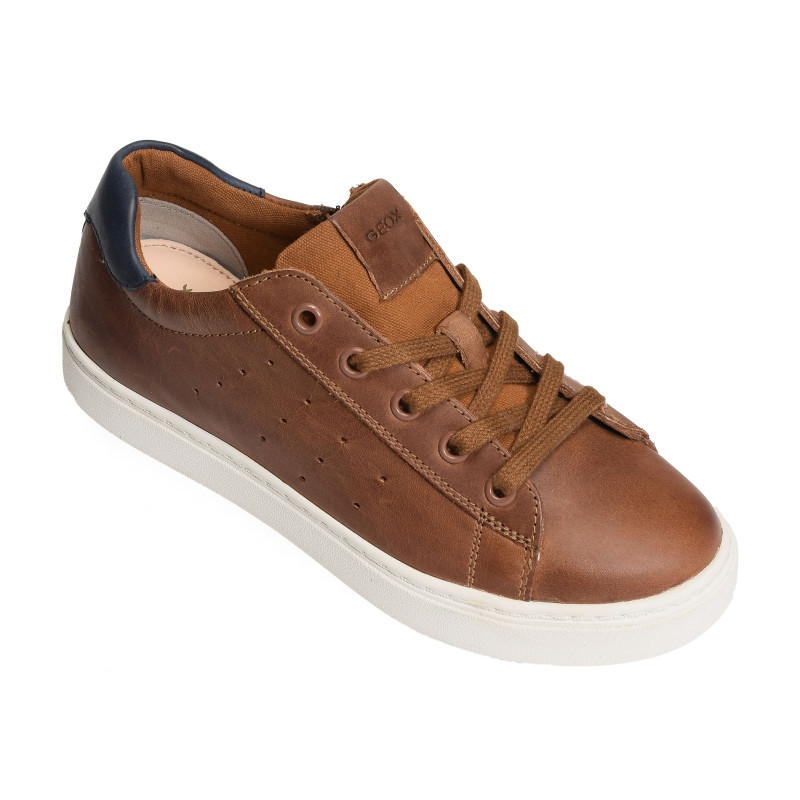 J NASHIK A Cognac Marine, Sneakers basses Geox