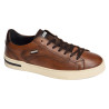 XATIVA 6307 Camel, Sneakers basses Pikolinos