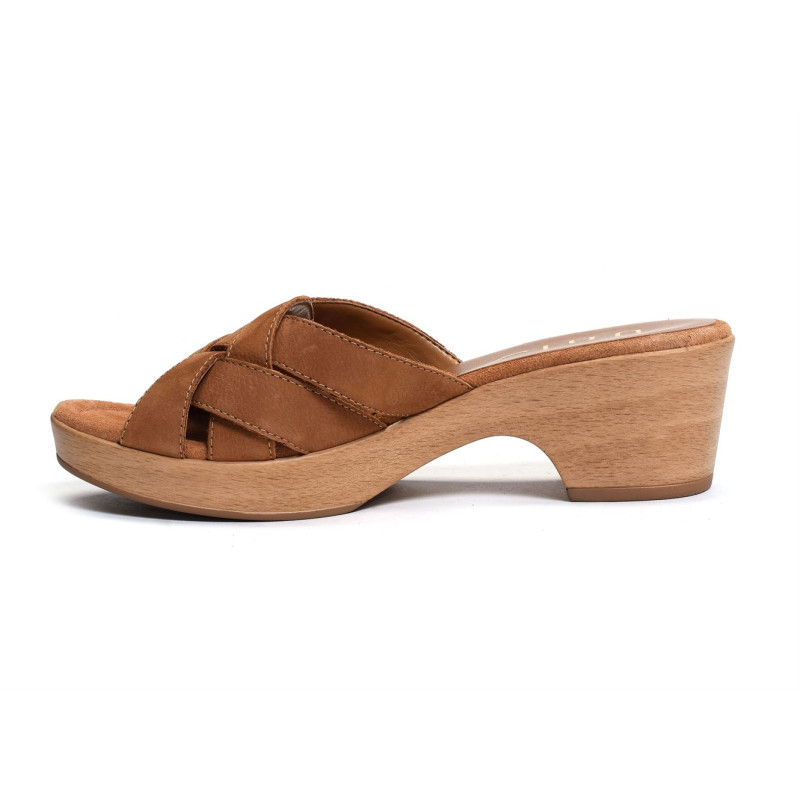 IBROS Camel, Mules Unisa