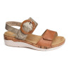  R6853 Camel