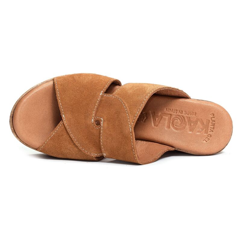 893 Camel, Mules Kaola