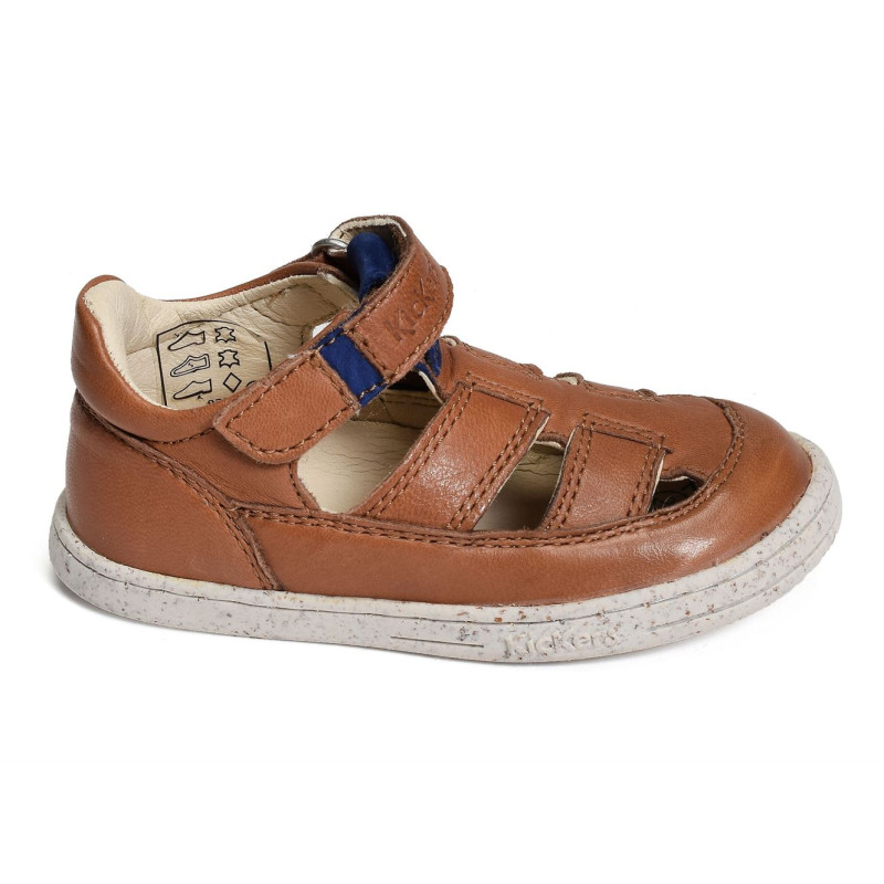 TRACTUS Camel, Babies Kickers