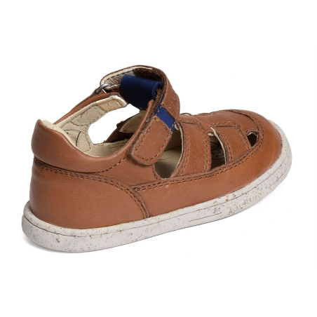 TRACTUS Camel, Babies Kickers