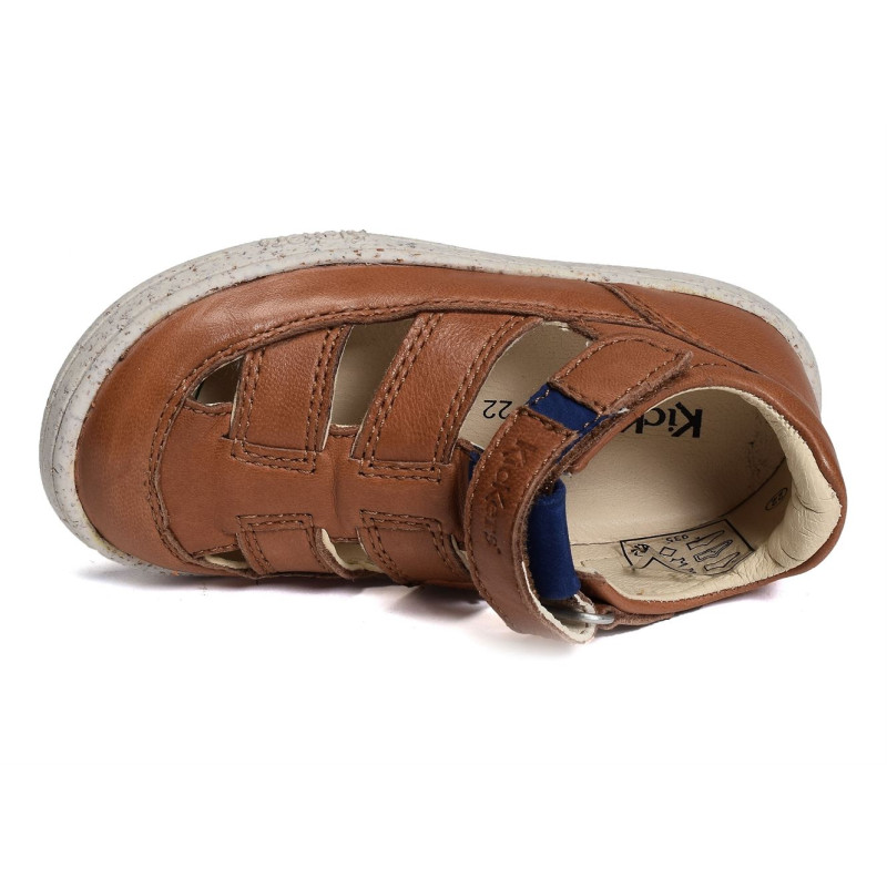 TRACTUS Camel, Babies Kickers